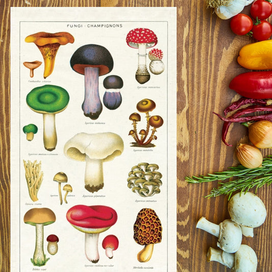 Mushroom Kitchen Towel