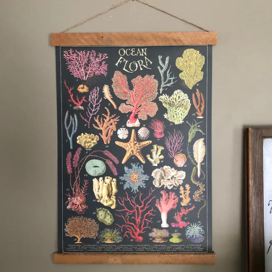 Ocean Flora Poster Chart
