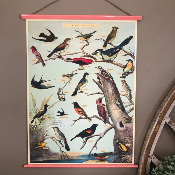 Audobon Bird Poster