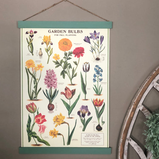 Garden Bulbs Wall Print