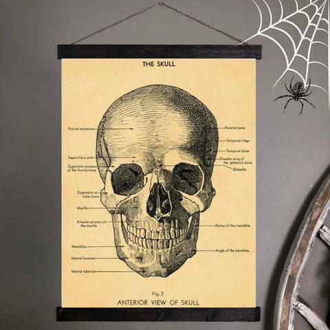 Skull Poster Chart
