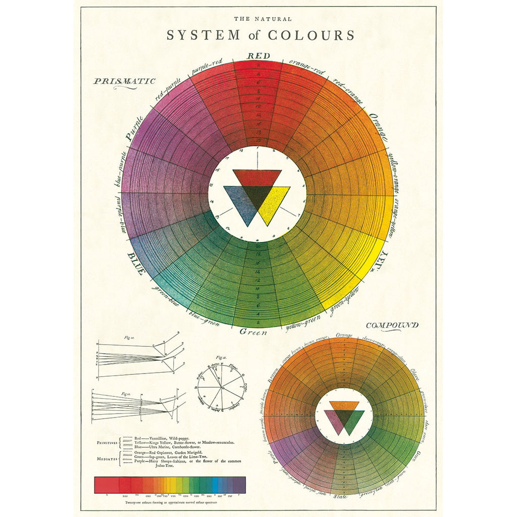 Color Wheel Poster Wall Hanging