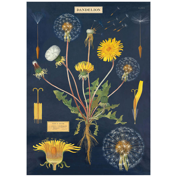 Flower Series Poster Wall Hanging