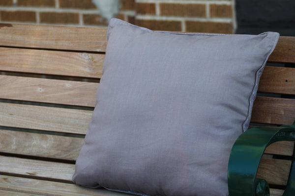 Michigan Throw Pillow