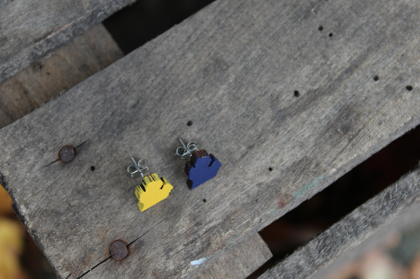 Michigan Wood Earrings - U of M