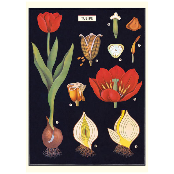 Flower Series Poster Wall Hanging