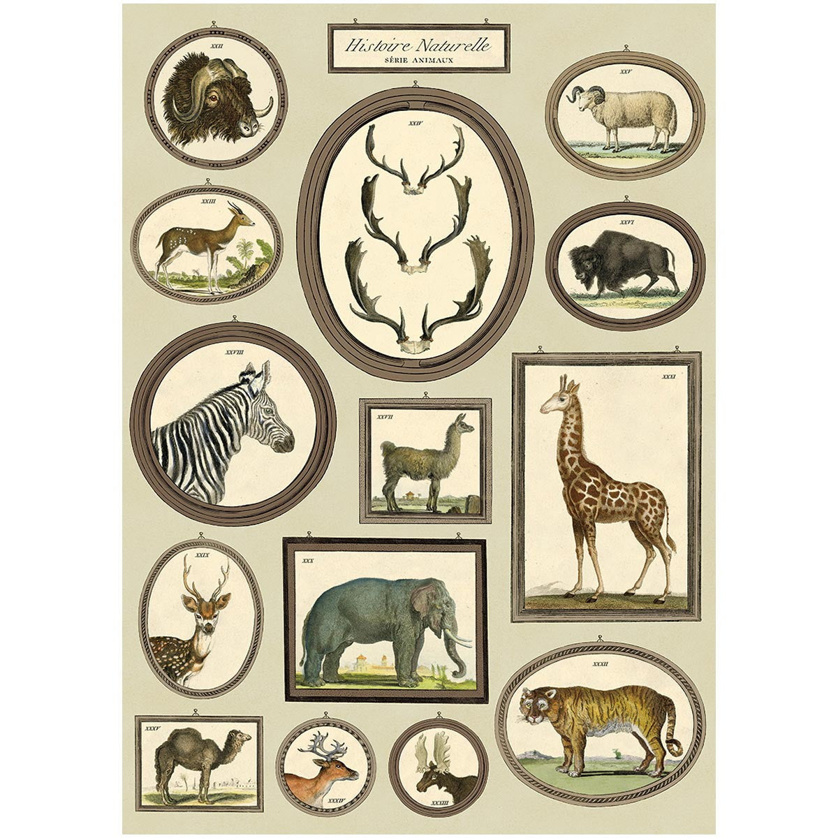 Wild Animals Poster Wall Hanging