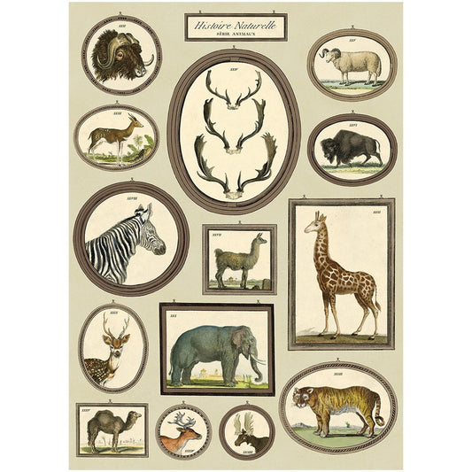Wild Animals Poster Wall Hanging
