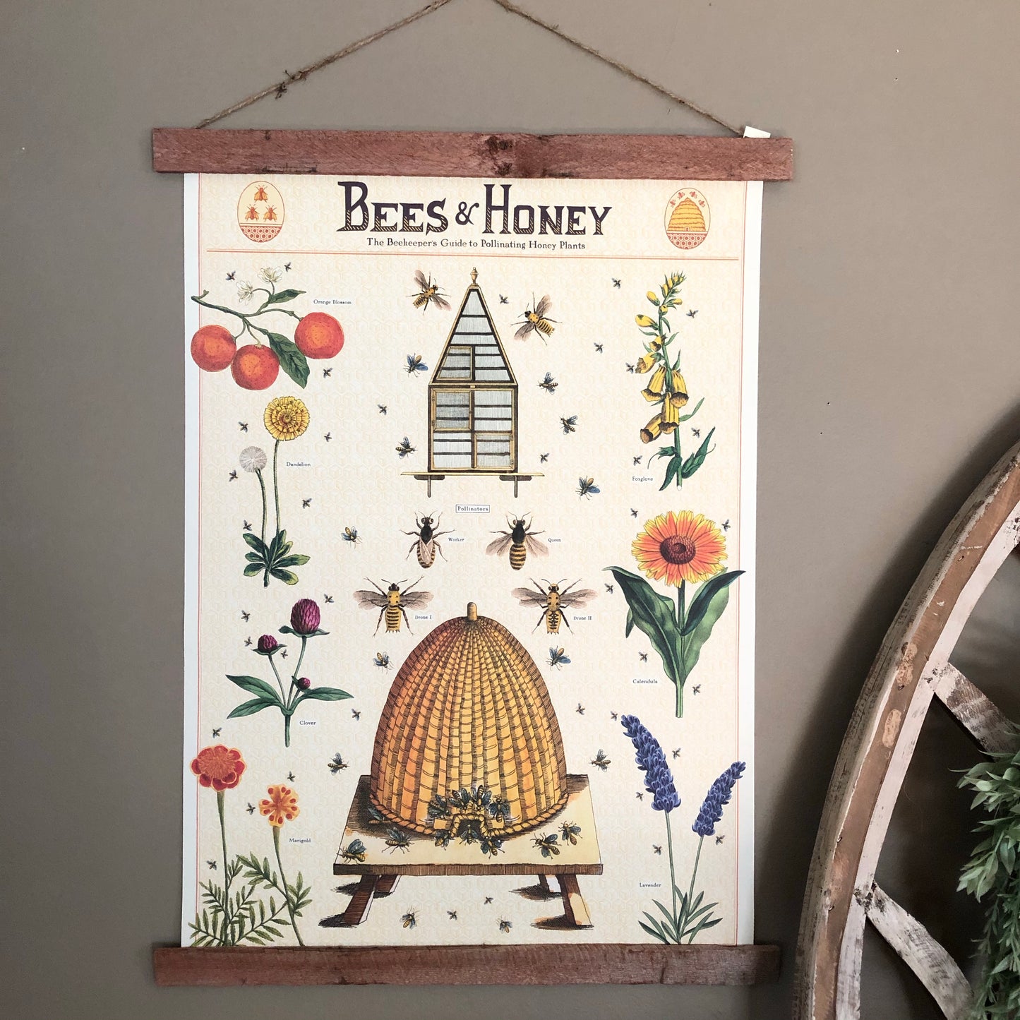 Beekeepers Guide Wall Print