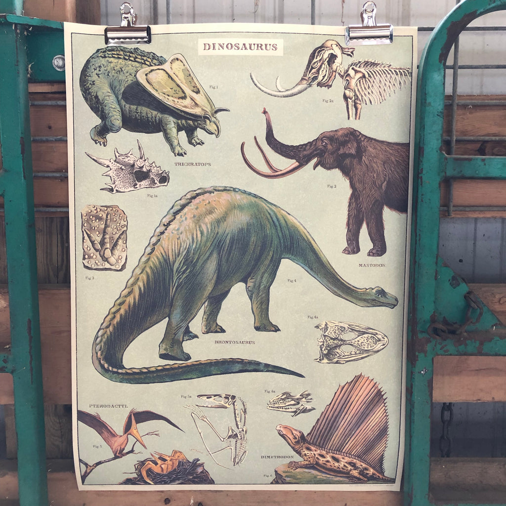 Dinosaur Poster Wall Hanging – Michigan Studio
