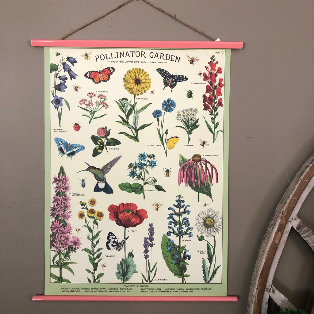 Pollinator Garden Wall Print | Flowers for Pollinators Poster | Art ...