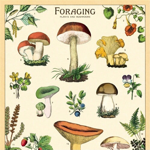 Foraging Wall Print