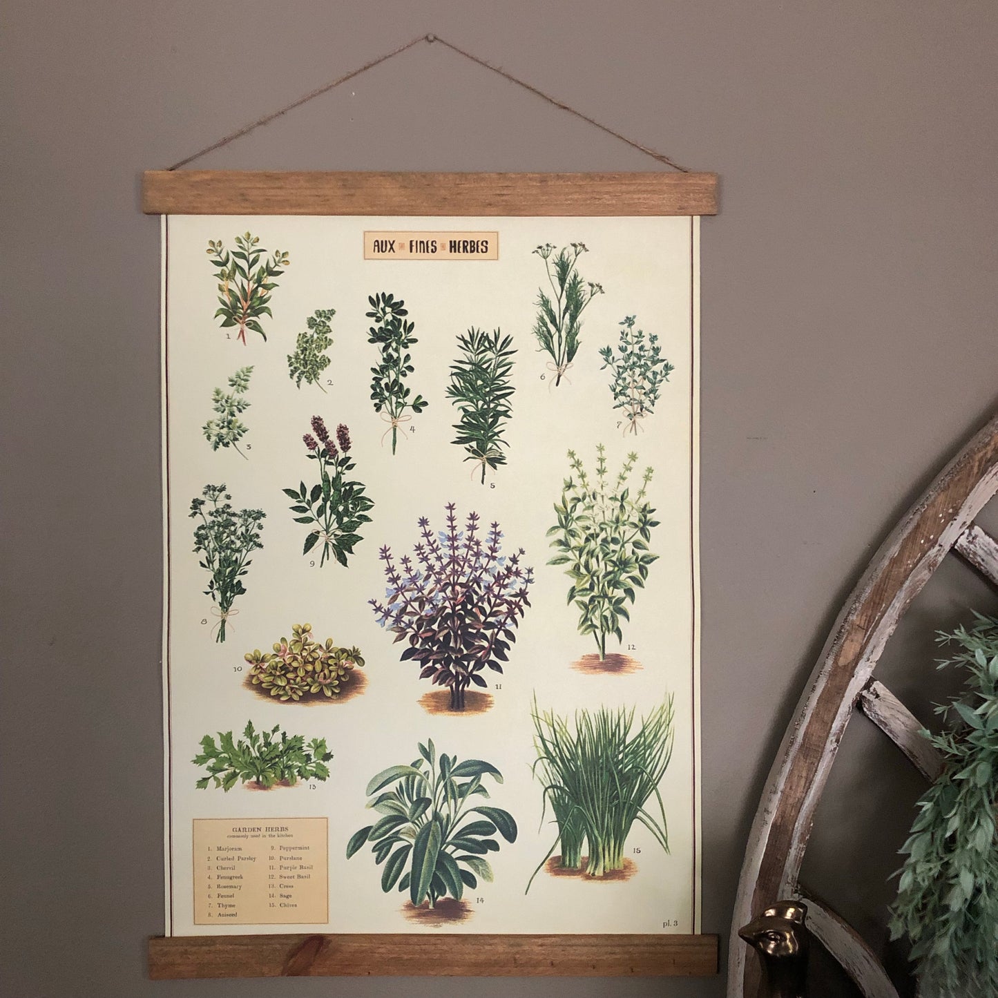 Herbs Poster Wall Hanging