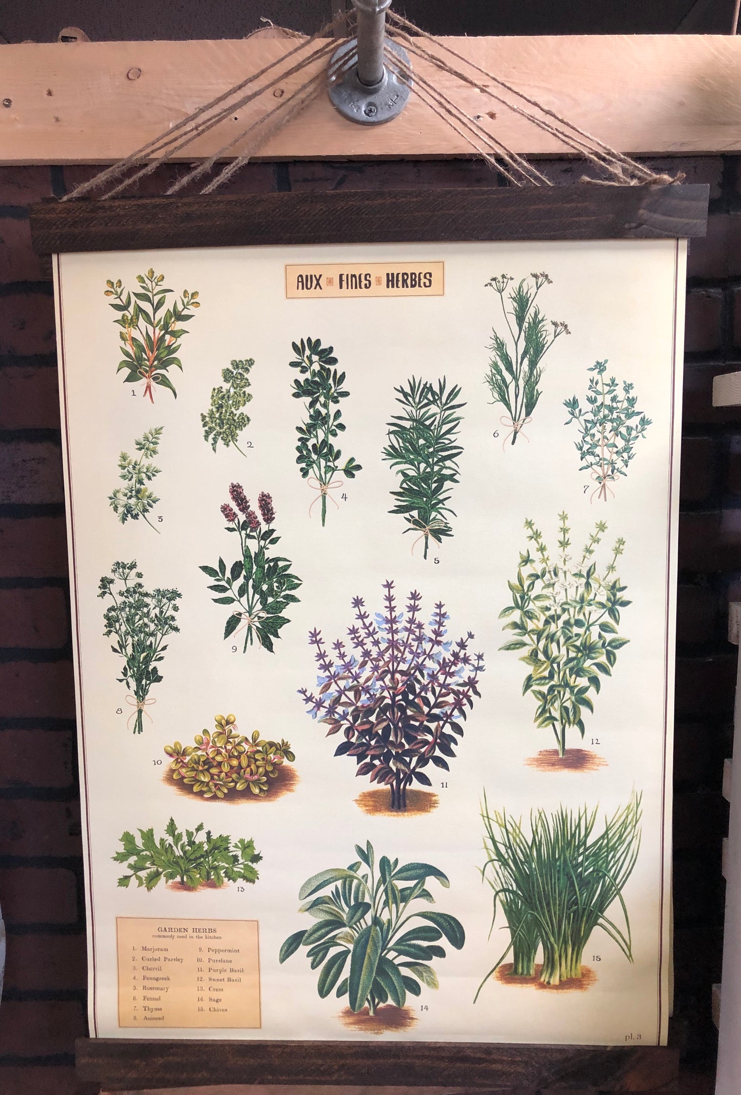 Herbs Poster Wall Hanging