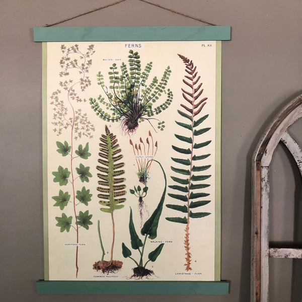 Fern Species Poster Wall Hanging