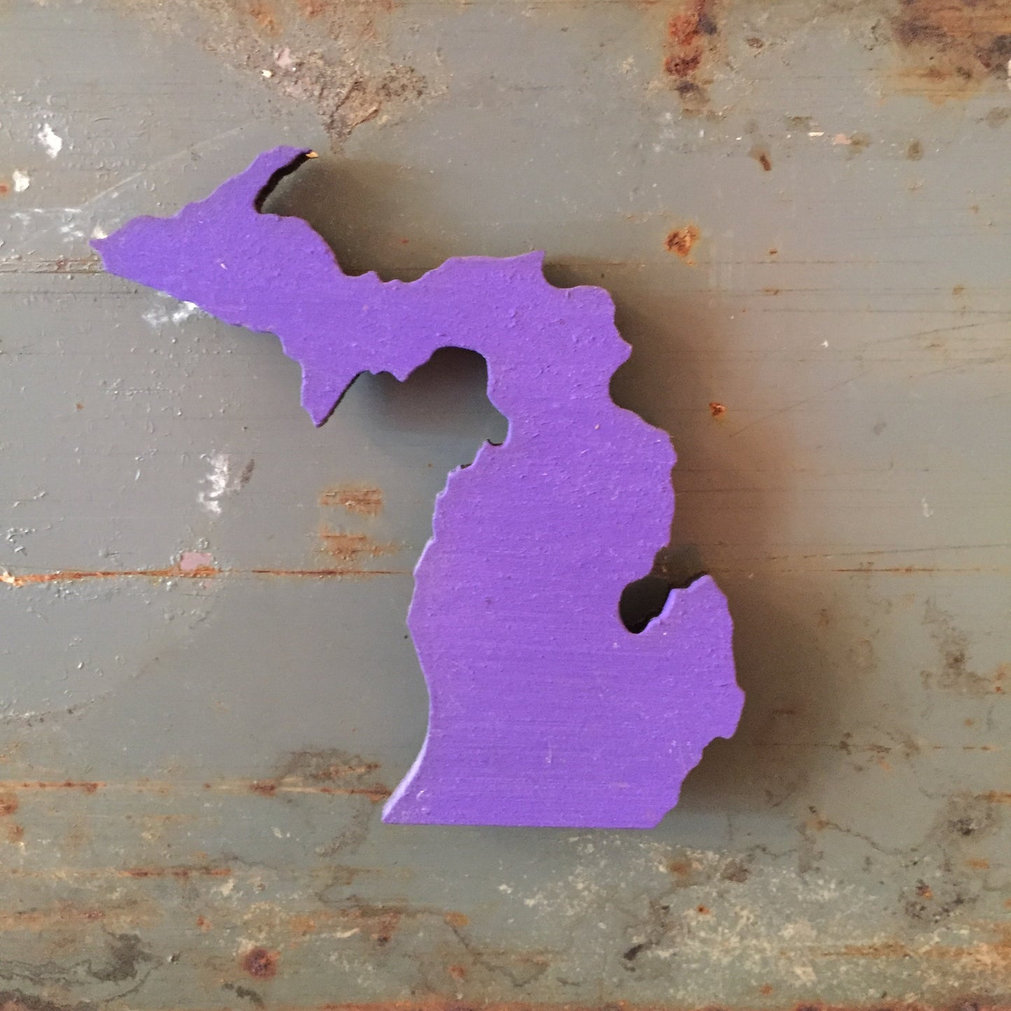 Hand Painted Michigan Magnet