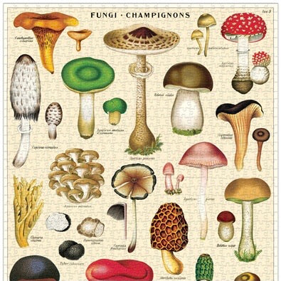 Mushrooms Vintage Puzzle