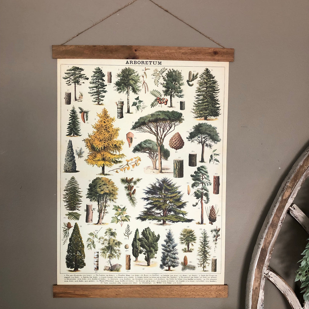 Tree Like Poster Tree Species Poster Wall Hanging | Arboretum Poster | Types of Trees ...