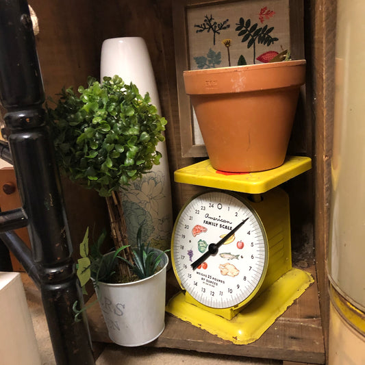 Vintage American Family Scale