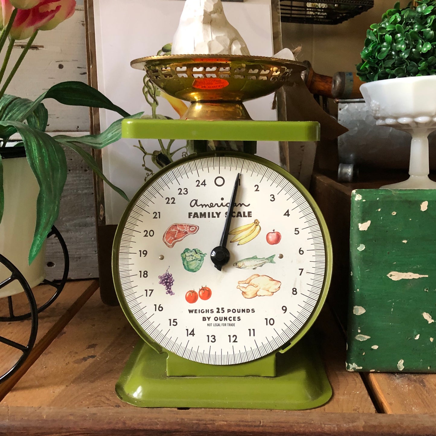 Vintage American Family Scale