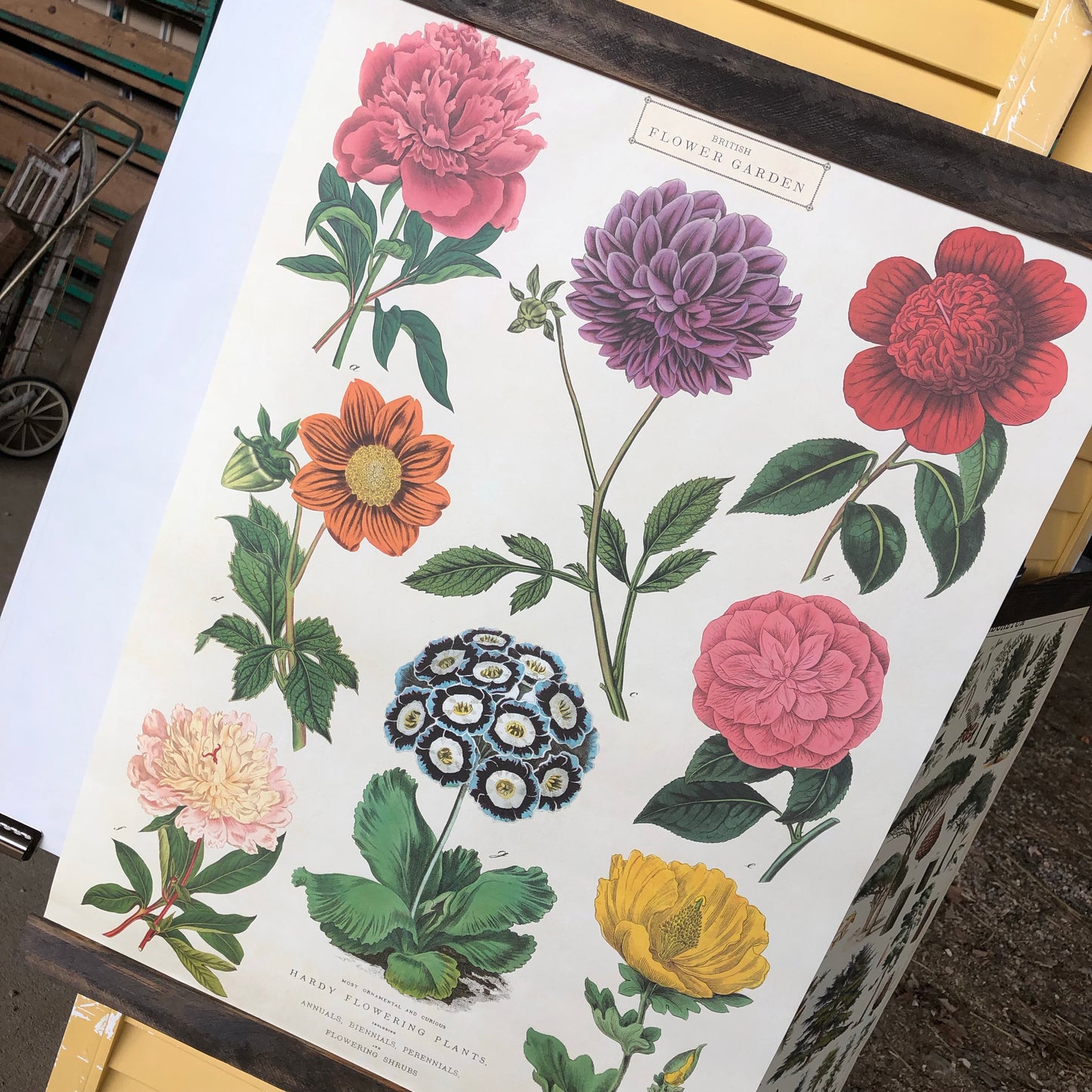 Floral Poster Wall Hanging
