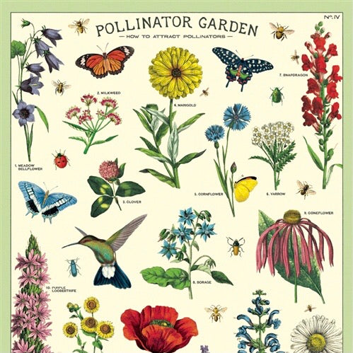 Pollinator Garden Wall Print | Flowers for Pollinators Poster | Art ...