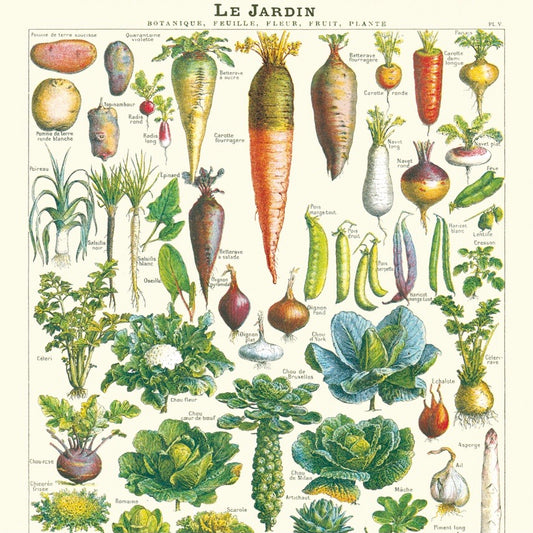 Le Jardin Vegetable School Chart