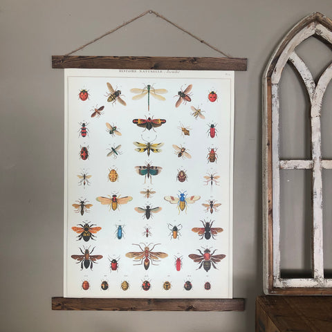 Insect Series Poster Wall Hanging