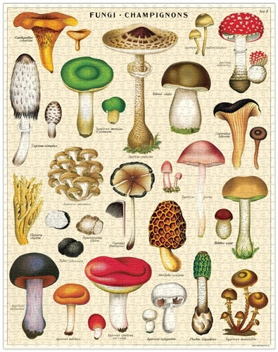 Mushrooms Vintage Puzzle