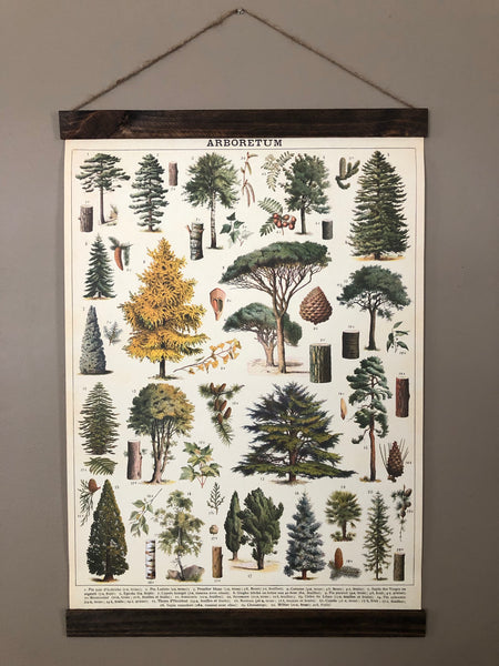 Tree Species Poster Wall Hanging