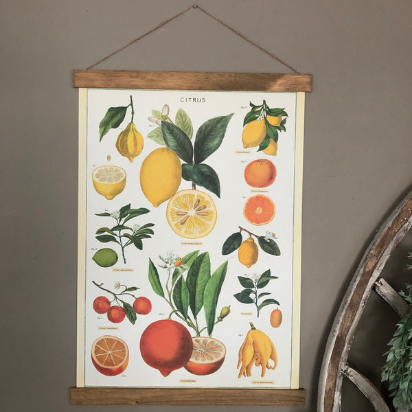 Lemon and Citrus Poster