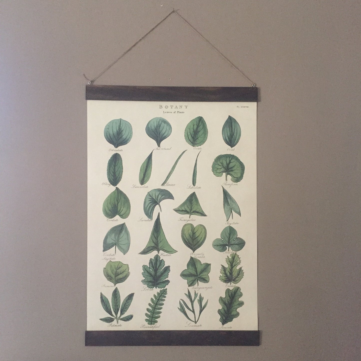 Wild Animals Poster Wall Hanging