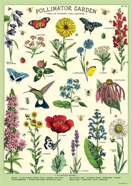 Pollinator Garden Wall Print | Flowers for Pollinators Poster | Art ...