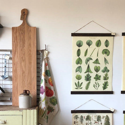 Botany Poster Wall Hanging