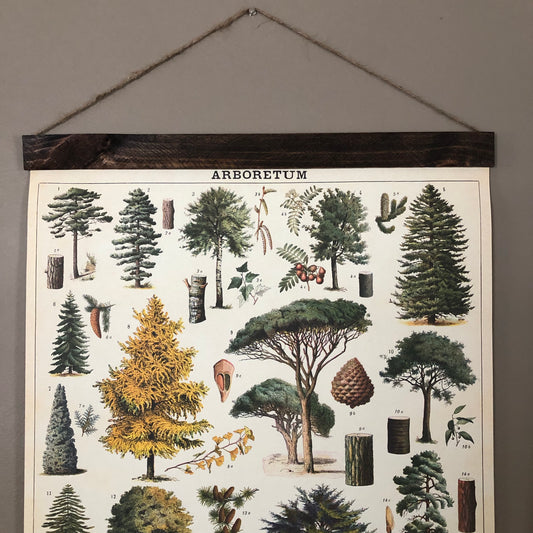 Tree Species Poster Wall Hanging