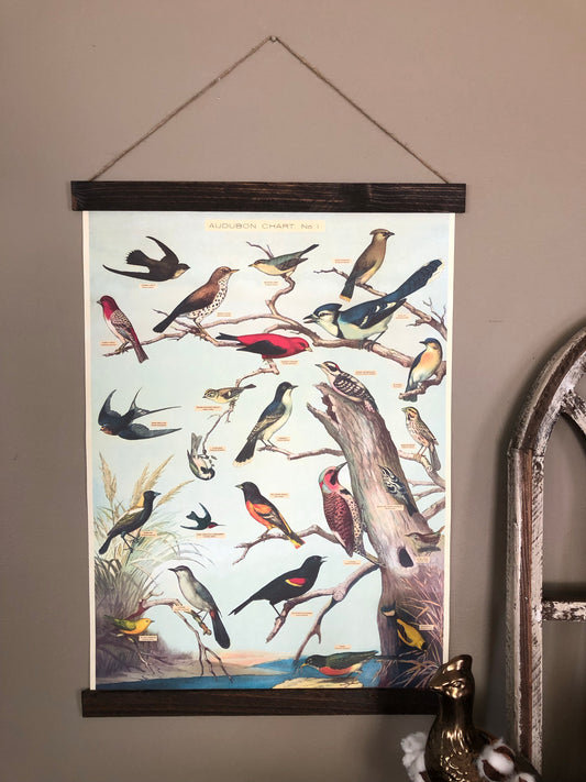 Audubon Bird Poster