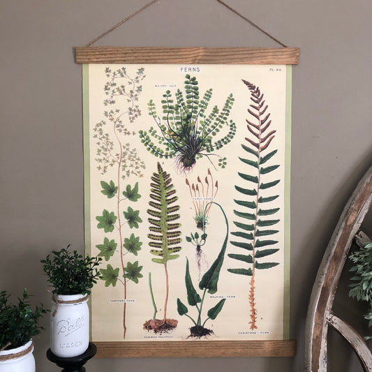 Fern Species Poster Wall Hanging